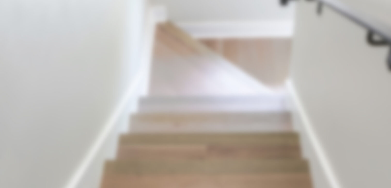 Cras mattis ipsum sed nulla fringilla ornare rhoncus eros efficitur